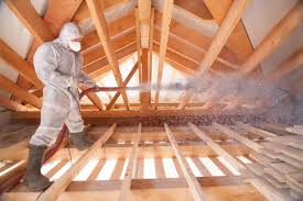 Best Insulation for Existing Homes  in Reno, TX